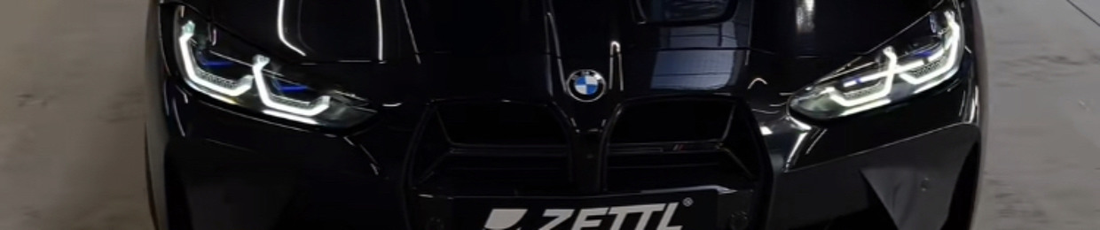 FX