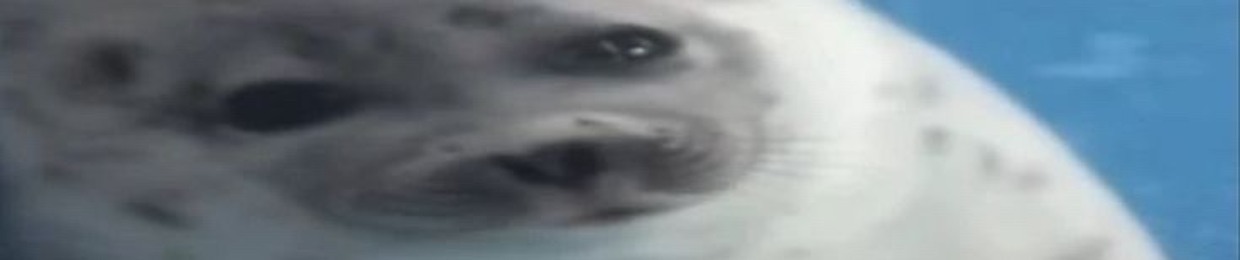 dafuukway