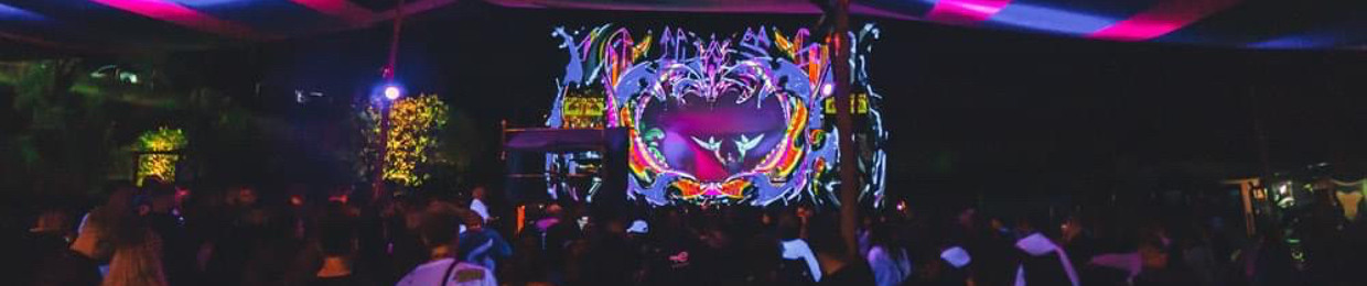 HouseDown Live