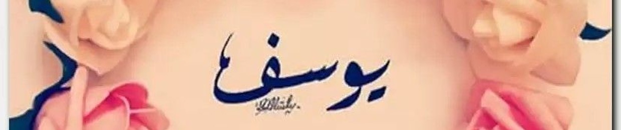 Walaa A. Mageed