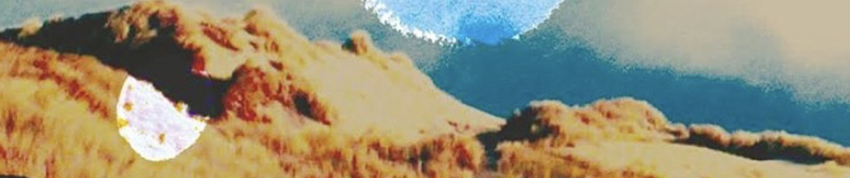 Stemmen uit de nacht | Babette Rijkhoff