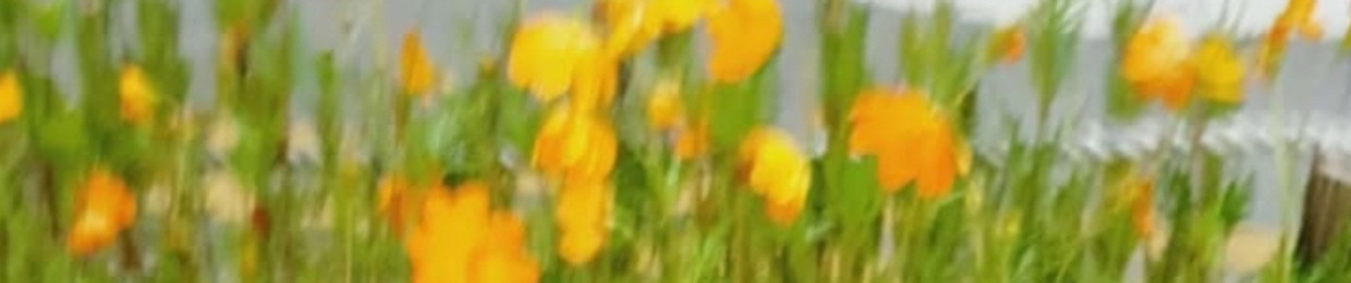 Jisan