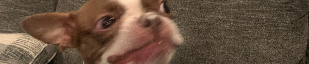 zTwist