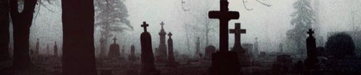 𝚅