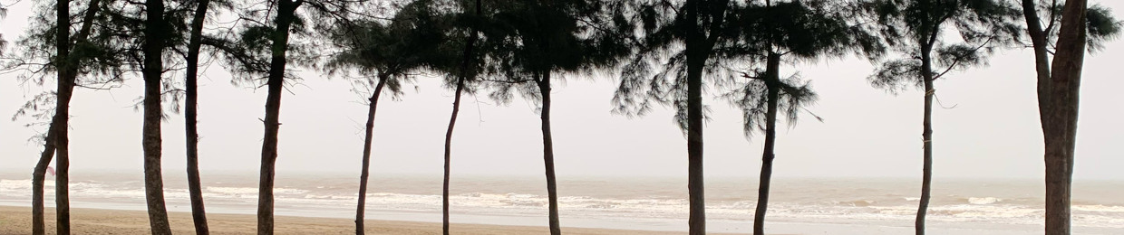 Thế Cường