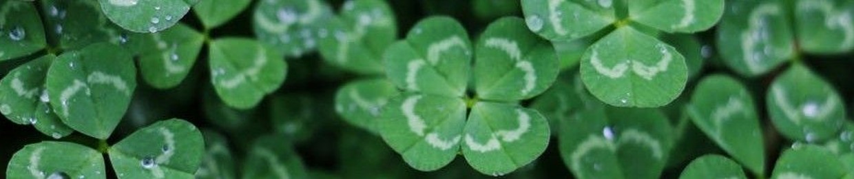 Clover