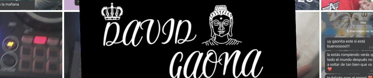 DJ David Gaona