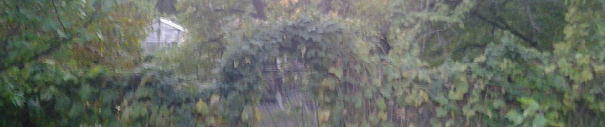 grassarm