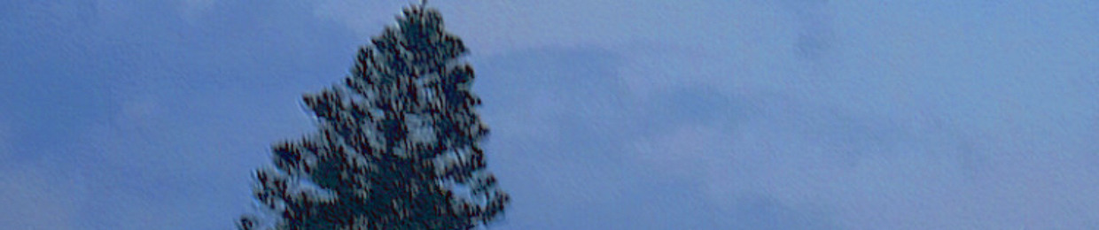 burbanktrash_01