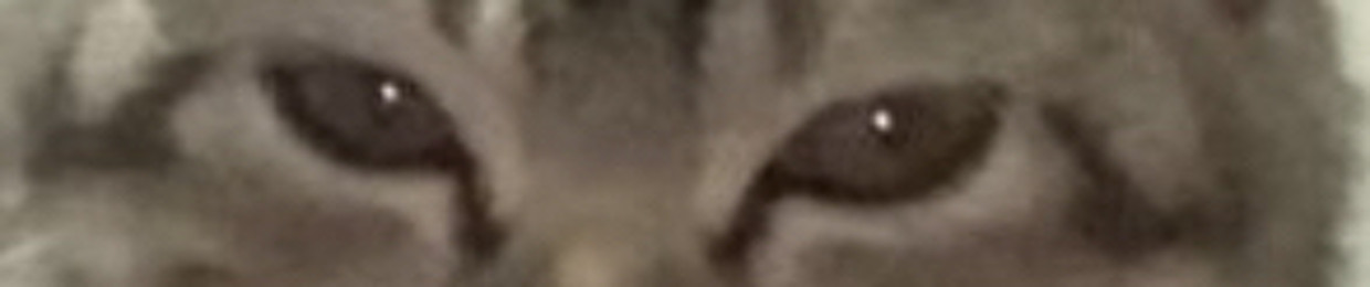 hppns
