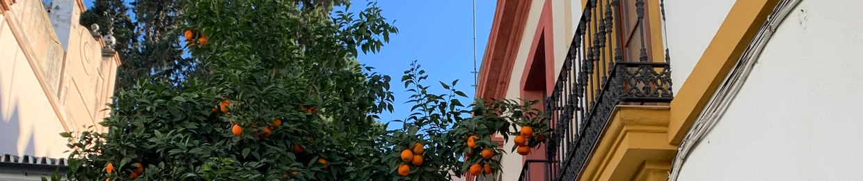 DAJO
