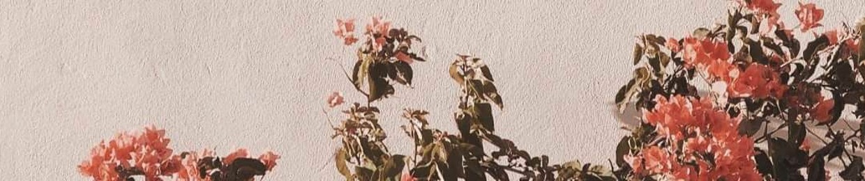 إسْراء ✿
