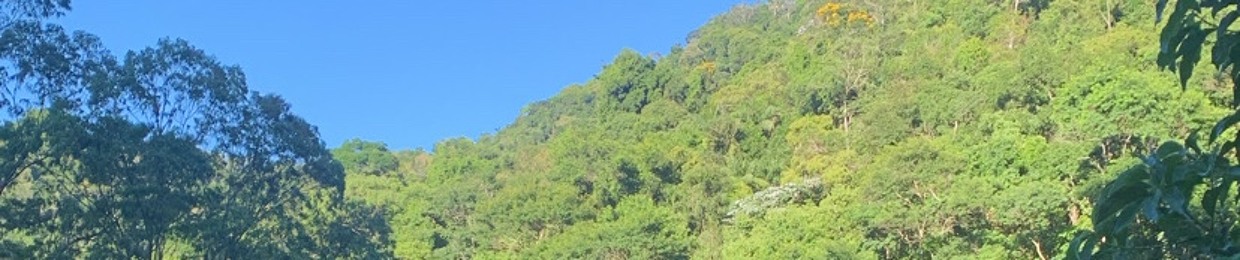 Gilbertgx