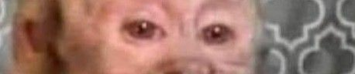 🎼J.🎼L. 🎹🎹🎶🎶🎶🔊🔊