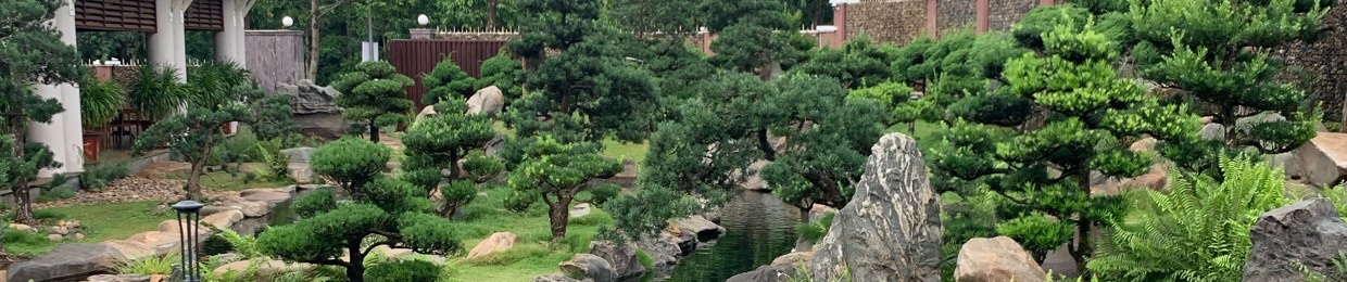 Nguyễn Duy Bảo