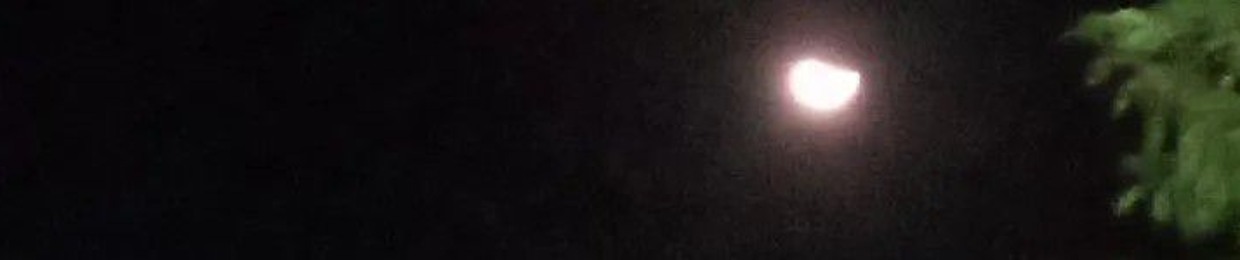 🦇⃤