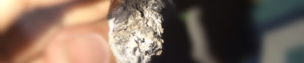 BucketBoyz916 🪣👺