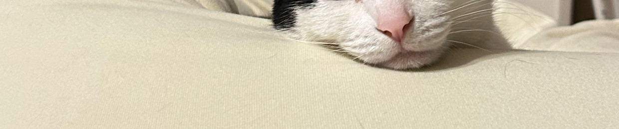 メタリックねこちゃん metallic nekochan
