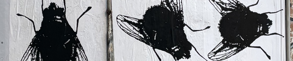 กᥣกꪕ  ᥫ᭡