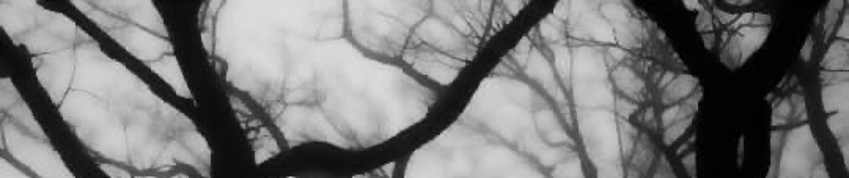 𐙚 Lottie. ˖ . ݁۶ৎ . ݁₊ [FUYUME’S WIFE>_<]