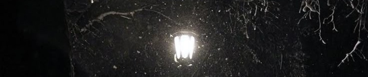 𝔖𝔥𝔩𝔲𝔪𝔭𝔶