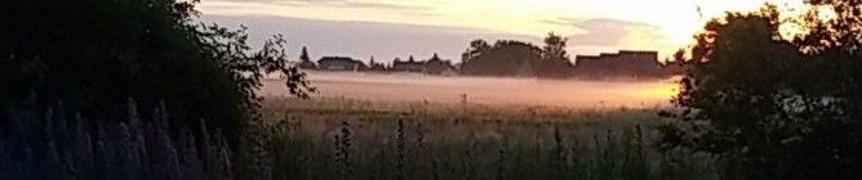 VTTX | DJ / Producer