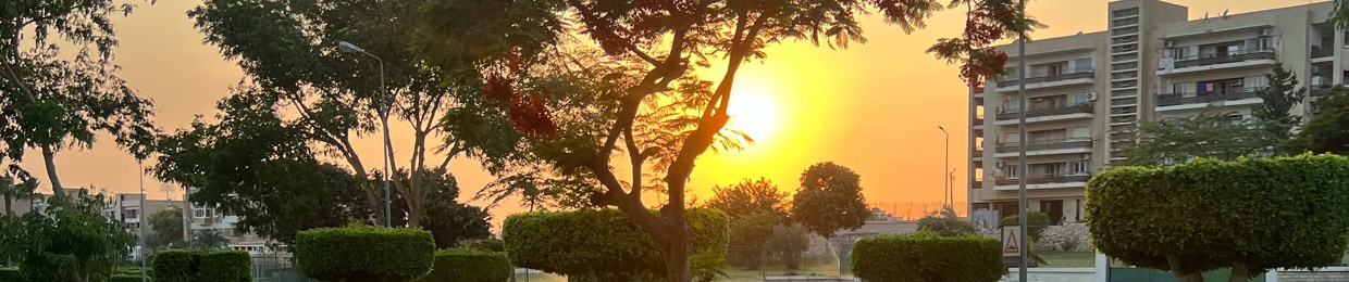 Mohamed Samir Elgamal