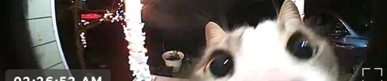 ᅠ