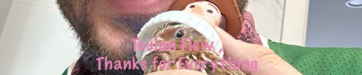 Enes (Quail Emotional Support Animal)