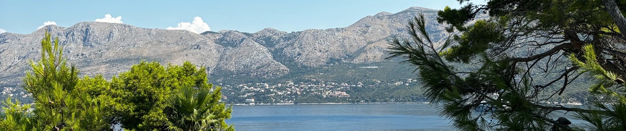 Andrėja Liukomaitė