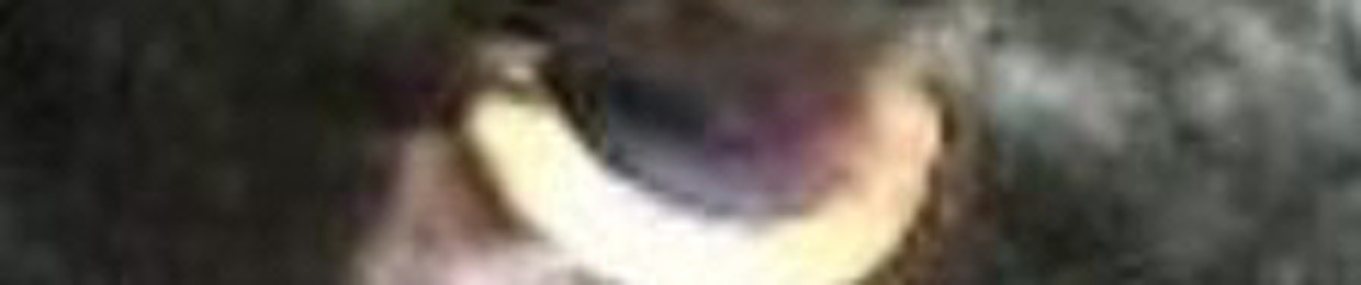 Etiennebdb