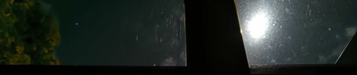 Naimi/Ingenstansland/Poly-Bi-Polar