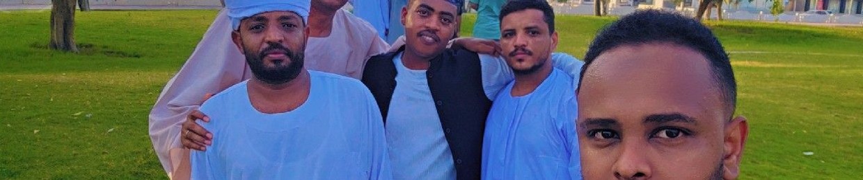 Mohamed Ahmed Shaaeldin