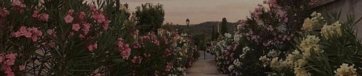 Bea (taylor's version)