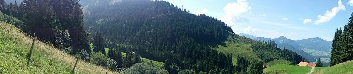Mitkaj