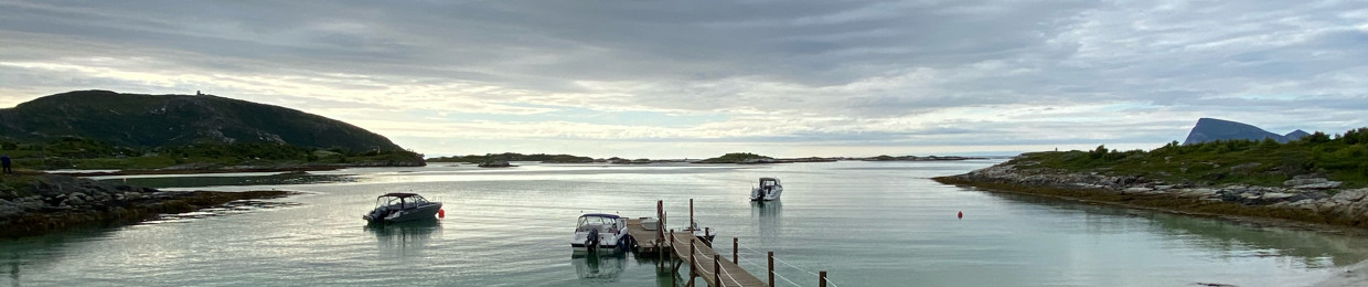 Jone Nikolay Dale Rørvik