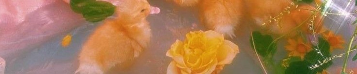 ｡*ﾟ+ Dinira  ♡