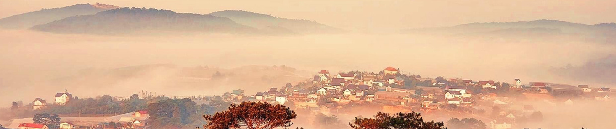 Hoài Bảo Nguyễn Hữu