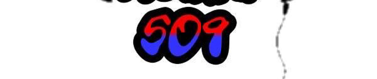 Dj shine509