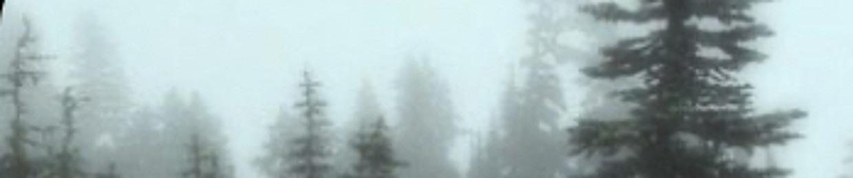 Aspen