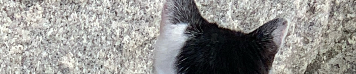 dan