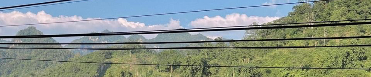 Tùng Dương