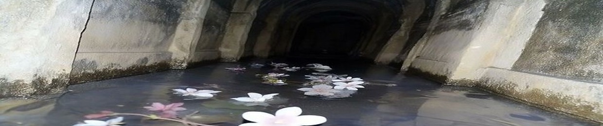 Скромная Деффчонка