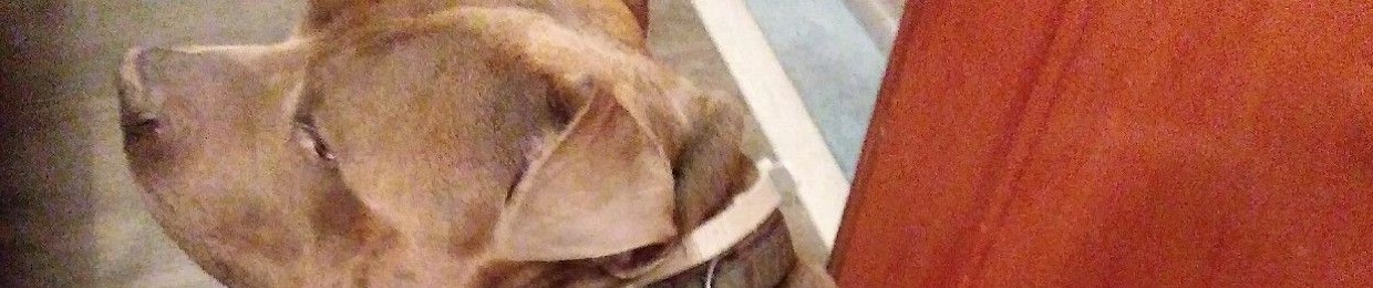 Jayjustbekillinit💯💯💯