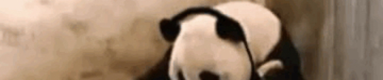 Ajay panda