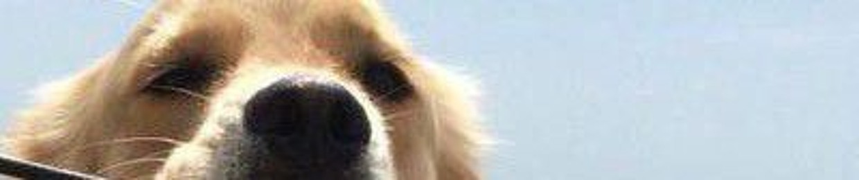 влад в рехабе