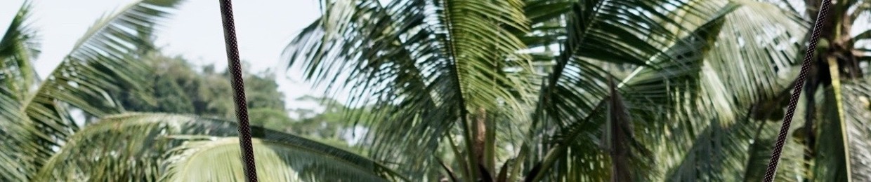 𝔥 𝔢 𝔞 𝔳 𝔢 𝔫 ⋆ 𝔰 𝔢 𝔫 𝔱