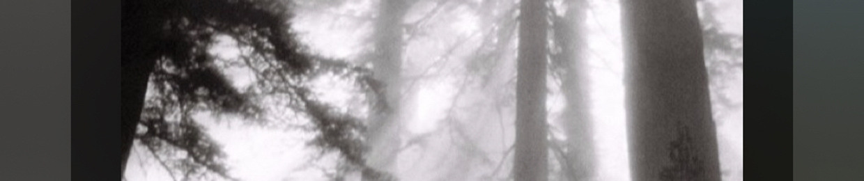 larii_46