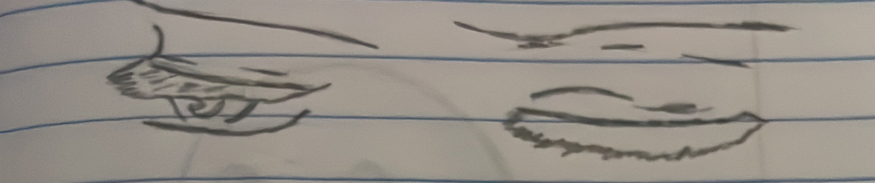 EDUARDO CAETANO NETO