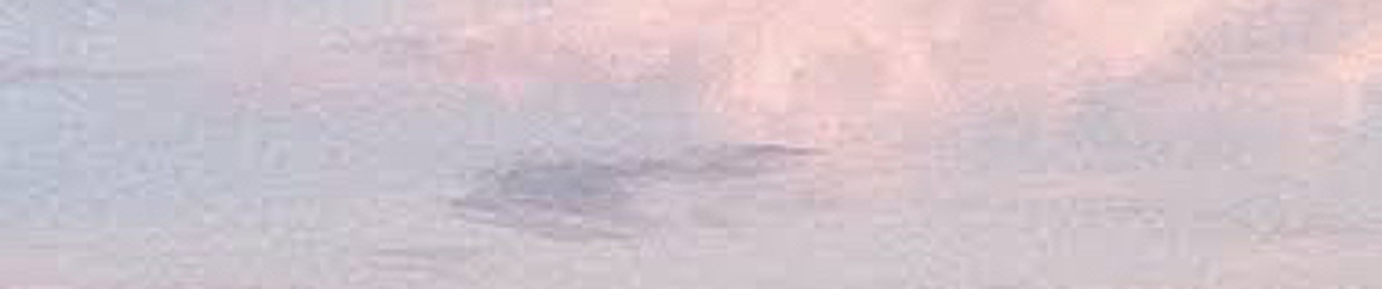 sunplum